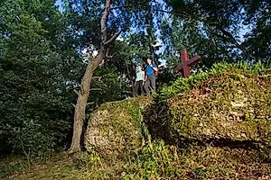 Traumschleife Kaltensteinpfad – Impression 2