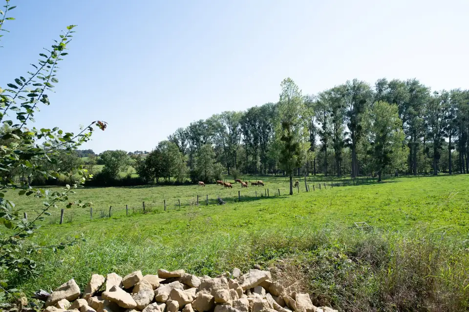 Pehlinger Hof - Adam's Bauernstube – Impression 1