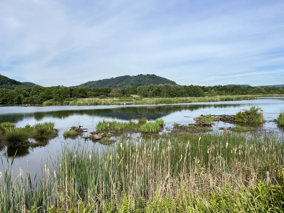 Tour de Ökosee“- eine ökologische Führung