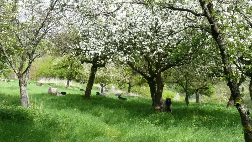 Ellerhof – Impression 1