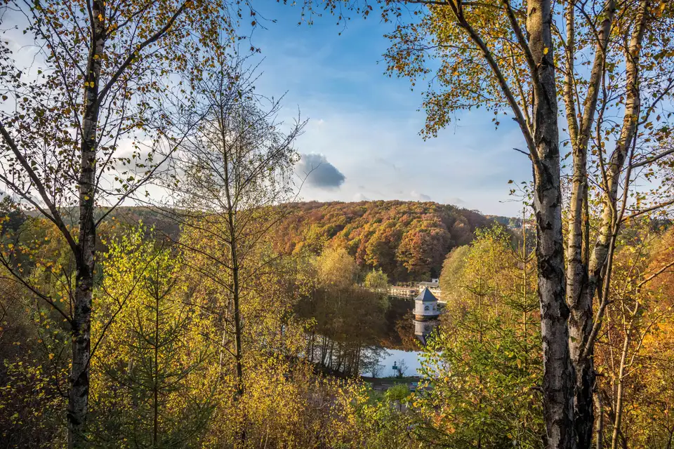 Gaststätte am Tennisclub Grün-Weiß Heiligenwald – Impression 1