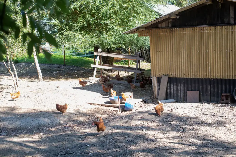 Pehlinger Hof - Adam's Bauernstube – Impression 3