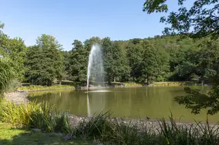 Stellplatz für Wohnmobile am Deutsch-Französischen-Garten