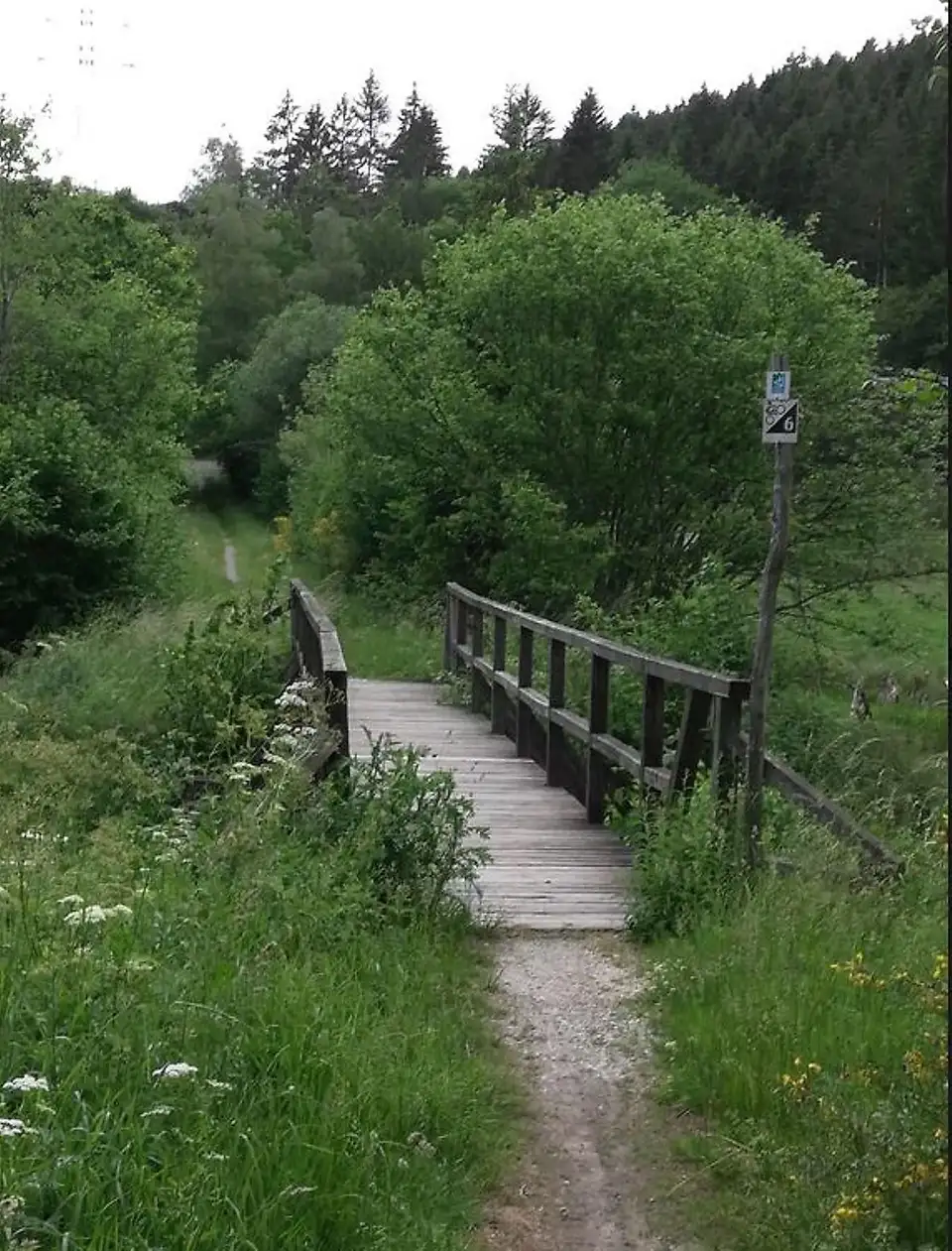 Schutzhütte "Keller Steg" am Saar-Hunsrück-Steig – Impression 3