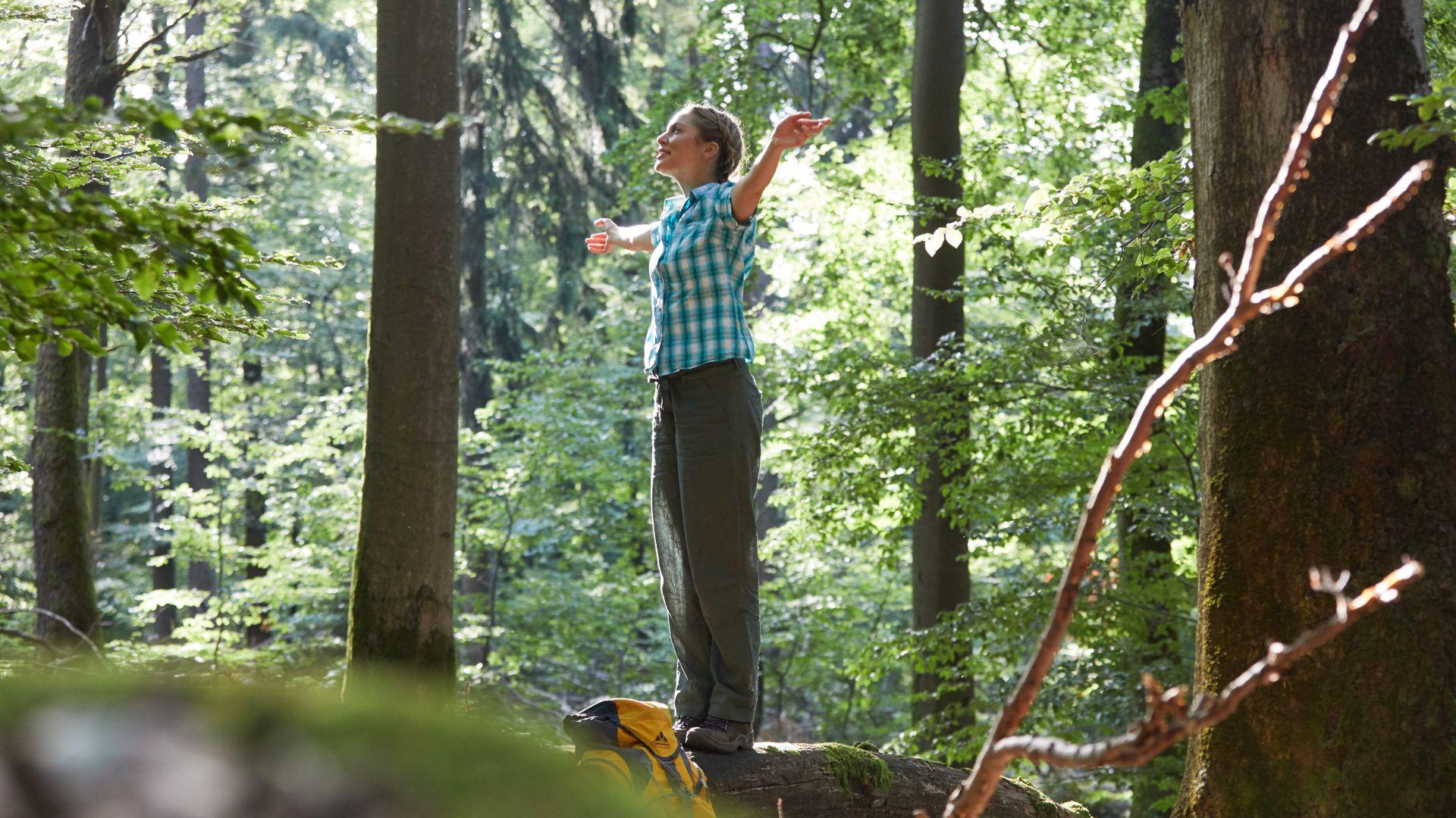 Wanderweg in der Region als Motiv für Wandern