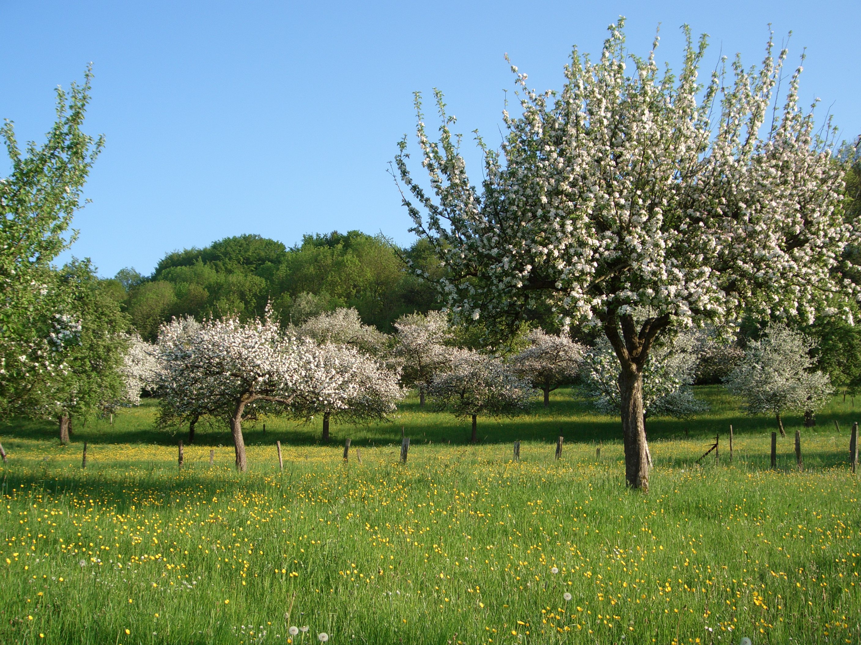 Impressionen der Viezstraße